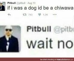 No Take Backs Mr Worldwide Memes Really Funny Humor