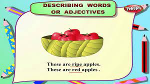 In english they are placed in front of the noun they modify. Describing Words Adjectives Learn English Speaking Learn English Grammar English Conversations Youtube