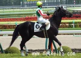 父名 グラスワンダー 母父名 スペシャルウィーク の競走馬検索 競馬データベース Netkeiba Com