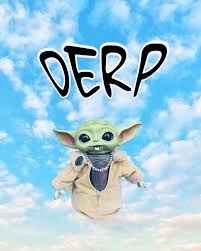 Image result for derp