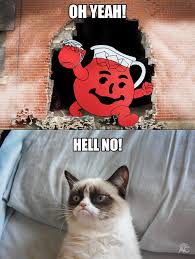 Hey Kool Aid Oh Yeah Grumpy Cat Grumpy Cat Grumpy Cat Images Cat Anatomy