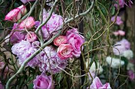 (0.04 mi) charming historic home just steps from main street! Great Expectations Flowers By Inka 11 Photos Florists Annapolis Md United States Phone Number Yelp