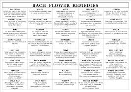 Bach Flower Remedies Bach Flowers Flower Remedy Bach Remedy