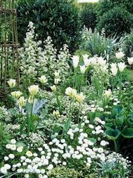 Pinned Via White Gardens White Plants Exquisite Gardens