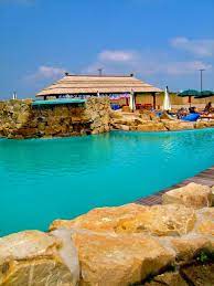We did not find results for: Bazeni Horizont Swiming Surduk Sportski Portal Srbije
