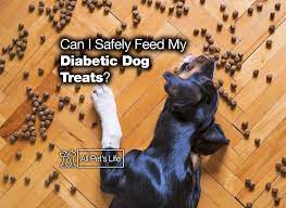 Can I Safely Feed My Diabetic Dog Treats 2021 Reviews All Pet S Life