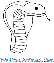 How To Draw A Cobra Face