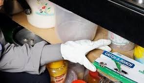 Bhimashankar enterprises pest control pune offer comprehensive range of pest control.we provide our services in maharashtra, karnataka and we are still growing because our clients are. Bhimashankar Pest Control Nigdi Pradhikaran Residential Pest Control Services In Pune Justdial