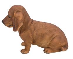 No puppies available at this time. Hi Line Gift Ltd Dachshund Sitting Statue Reviews Wayfair
