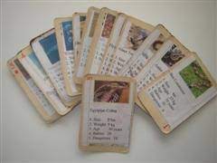 Maybe you would like to learn more about one of these? Make A Card Game