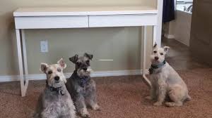 It creates lots of useable space as the runners pull to reach places. Ikea Besta Burs Desk Assembly Youtube