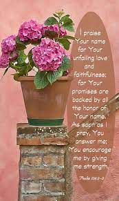Birthday Wishes Expert Wishes Quotes And Birthday Messages Hydrangea Flowers Bloom