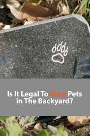 Can I Bury My Cat In The Backyard Safely What To Know 2021 Backyard Pet Grave Markers Pets