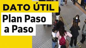 Plan paso a paso en la región del biobío: A9ixu2kmiorejm