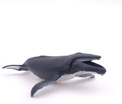 Humpback whales (please check out our humpback whale pictures) are mammals belonging to the baleen whale suborder and can be found in oceans and seas around the world. Amazon Com Papo Humpback Whale Toys Games
