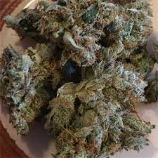 Hindu kush auto is an automatic indica marijuana strain from serious seeds developed for indica lovers. Hindu Kush Aka Hindi Kush Marijuana Strain Information Leafly