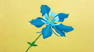 Check spelling or type a new query. Blue Columbine Flower Drawing Youtube