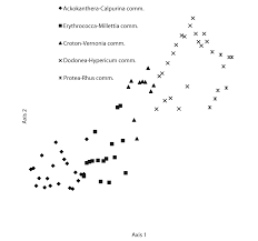 Image result for Erythrococca trichogyne