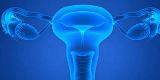 Lapisan yang terdalam inilah yang sering dikaitkan dengan kesuburan perempuan, karena lapisan endometrium merupakan tempat terjadinya penebalan dan penipisan dinding rahim. 20 Penyebab Penebalan Dinding Rahim Waspadai Sebagai Bentuk Pencegahan Merdeka Com