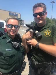 Near Pensacola Florida A Deputy And His Trainee Broke The Window Of A Hot Car On Saturday Afternoon To Rescue A Puppy Locked Hot Cars Puppies Escambia County