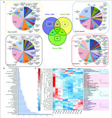 proteomic analysis of developing grape berries a protein