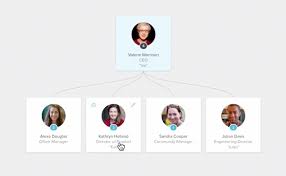 build and share a beautiful company org chart pingboard