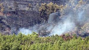 Havanın karanlık olması nedeniyle sadece karadan müdahale edilebilen yangını söndürme çalışmaları sürüyor. Fethiye De Cikan Orman Yangini Sonduruldu