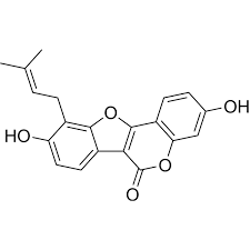 Image result for Dolichos trilobus