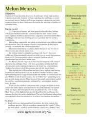 Mcq on meiosis cell division with answer key. Section 11 4 Meiosis Pages 275 278