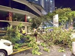We did not find results for: Hannah Yeoh On Twitter Hujan Kuat Petang Tadi Telah Mengakibatkan Banyak Pokok Tumbang Di Sekitar Segambut Terima Kasih Kepada Team Dbkl Yang Sedang Membantu Mengalihkan Pokok Pokok Yang Tumbang Https T Co Yik7l7mtop
