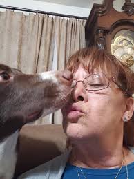 Minnie loving Montana 🐾❤️🐾