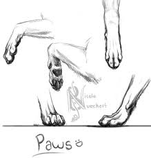 Wolf Sketch Paw Study By Kuvari On Deviantart Wolf Paw Wolf Sketch Paw Drawing