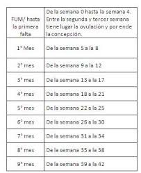 Calculadora Gestacional De Meses Para Semanas Como Calcular Las Semanas Los Meses Y Los Trimestres Del Embarazo Calcular Semanas De Embarazo Embarazo Semana A Semana Calendario Del Embarazo