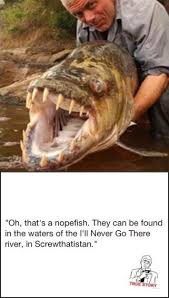 1 river monsters 1.1 silent assassin 1.2 river of blood 2 description 3 gallery the golden dorado first appears in the season 3 episode silent assassin, where jeremy wade is tracking a monster stingray know as the short tailed river stingray. The Nopefish Lolsnaps River Monsters Nopefish Tiger Fish
