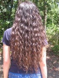 Many famous singers, professional athletes prefer long hairstyles. Hair Type 2c Or 3a Novocom Top