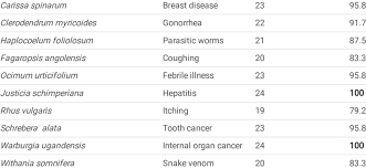 Image result for Haplocoelum foliolosum
