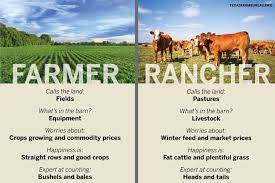 What's The Difference Between Farmers And Ranchers? – Texas Farm Bureau –  Table Top
