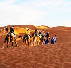 Organizamos tours por marruecos,desde marrakech al desierto del sahara,también desde fez,casablanca y tánger. Morocco Desert Tours Camel Trek Excursions Sahara Trips Company