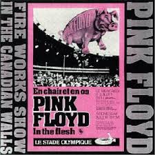 Image result for Pink 1977 Kelvinator