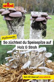 Pin Auf Gartengestaltung