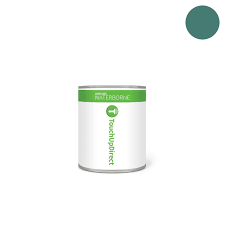 Image result for Aquarius Green 1971 Pontiac