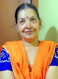 They Shun Events If Food Served In Plastic, Ask Chaat Wallas To Go Green