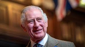 Quiénes son los consejeros de Estado y cómo cambia el trabajo del rey  Carlos tras su diagnóstico de cáncer