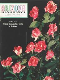 Image result for Autumn Rose 1958 Kelvinator