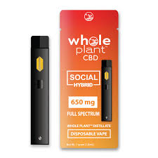 Hybrid Disposable Vape Pen - SOCIAL - Buy Online Now - Whole Plant™ CBD