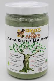 Image result for Moringa oleifera