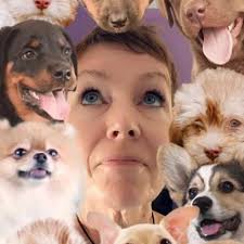 Sweetpees Pet Sitters (@Sweetpeessitters) • Facebook