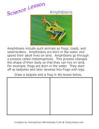 Science Amphibians Worksheet In 2020 Homeschool Worksheets Writing Practice Worksheets Free Science Lesson