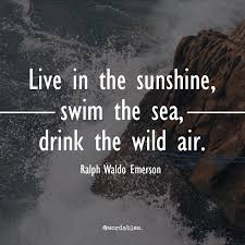 21 Quotes From Ralph Waldo Emerson On How To Be An Individual Ralph Waldo Emerson Quotes Emerson Quotes Emerson Nature
