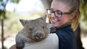 Lucky zoo in narrow bushfire escape
